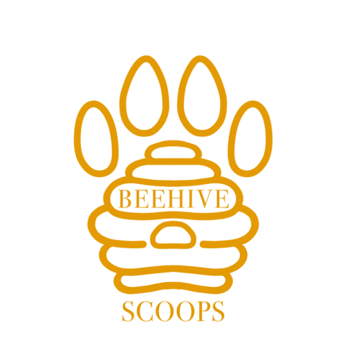 beehivescoops.com